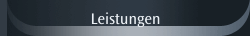 Leistungen