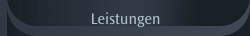 Leistungen